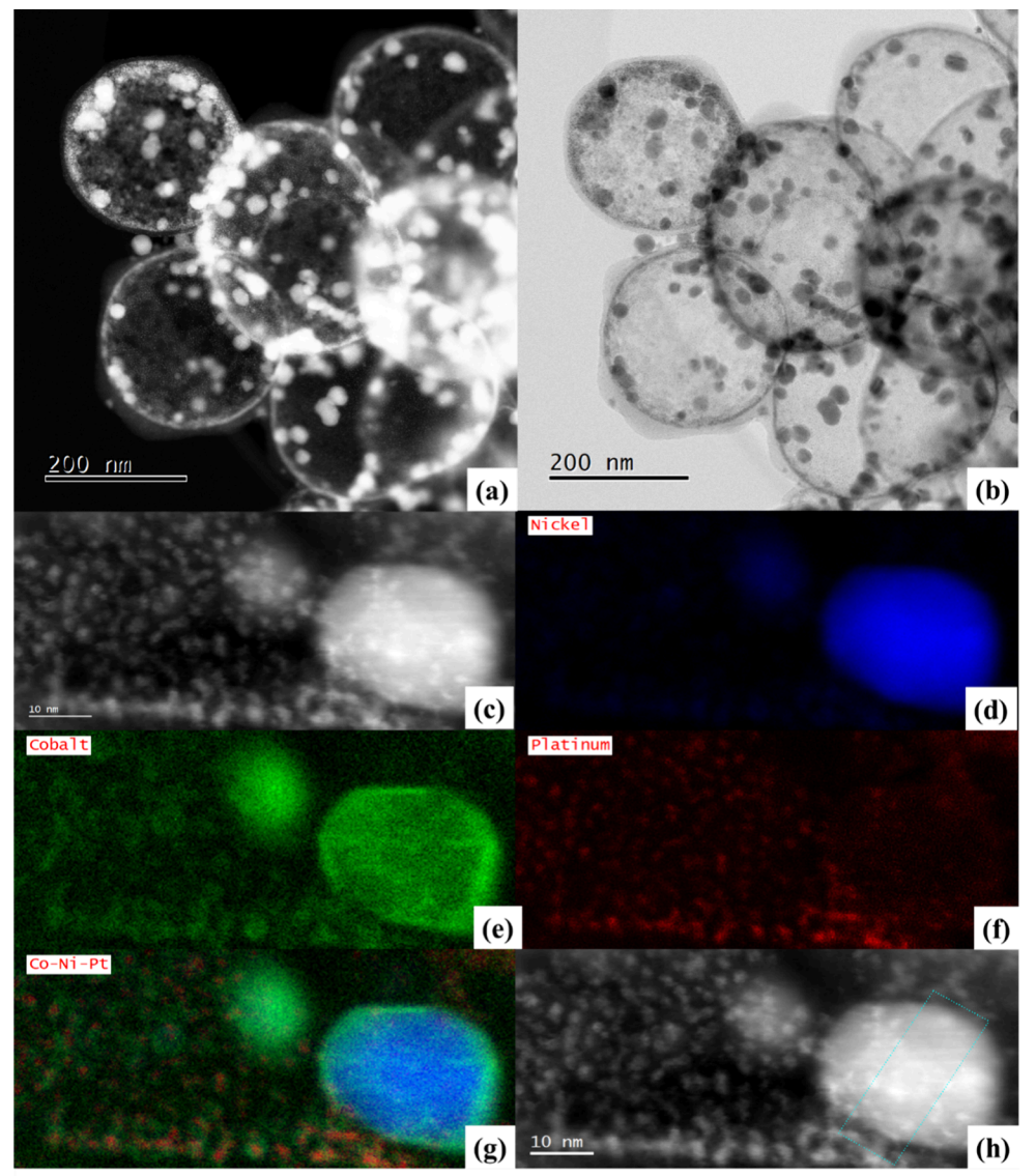 NiCoPtOx nanoparticles on hollow carbon support