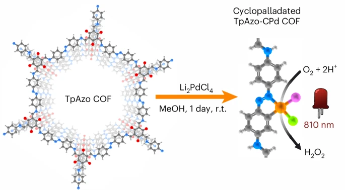 Single Atom Catalyst Detection